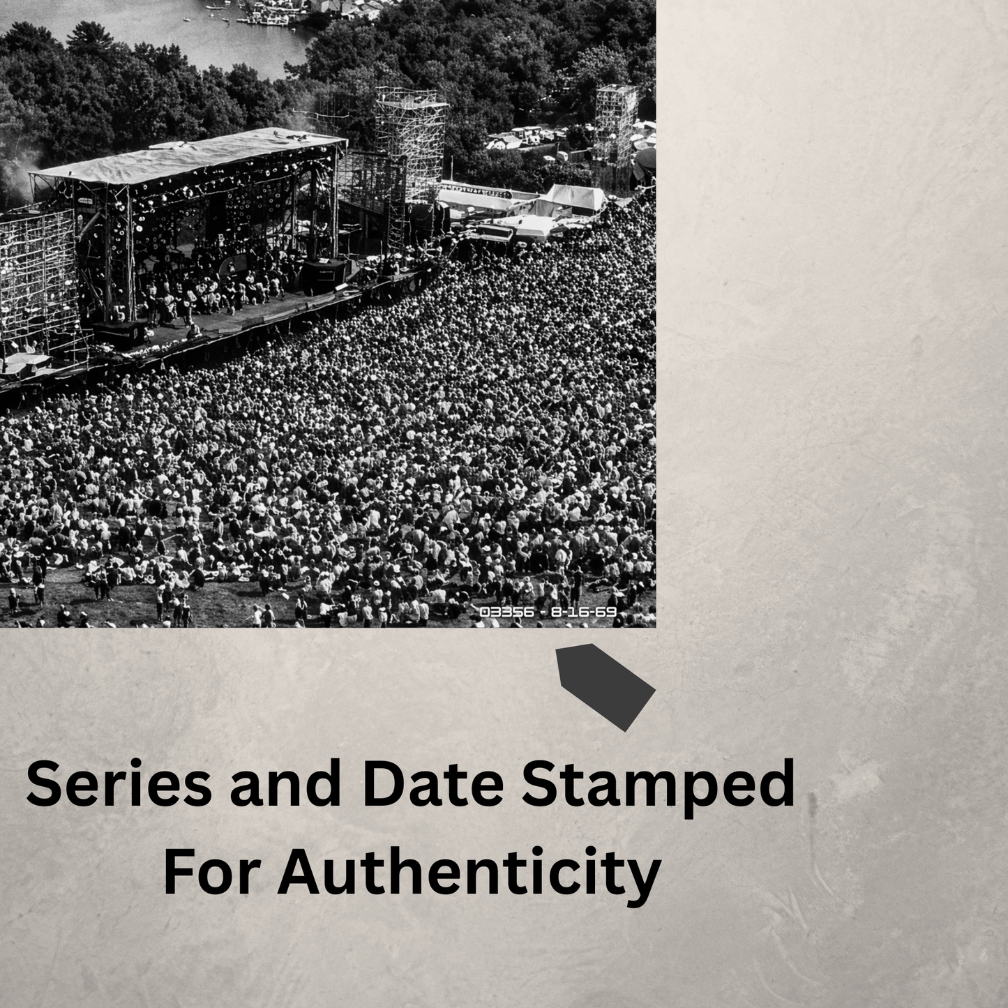 Vintage Crowd - Black & White Photography - Music Festival - The Performance (The Celebration)